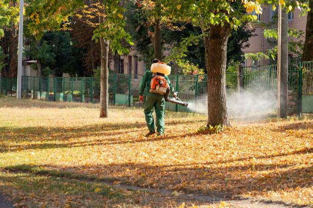 Best Emergency Pest Control  in Foley, MN