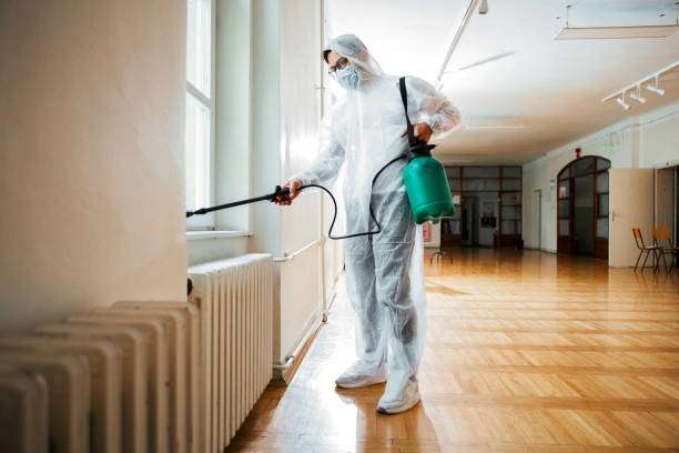 Best Mosquito Control Services  in Foley, MN