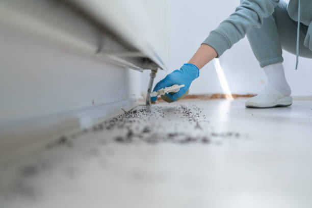 Best Bed Bug Extermination  in Foley, MN