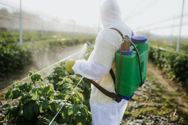 Best Cockroach Control Services  in Foley, MN